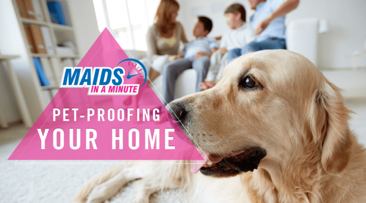 Maids-in-a-Minute-2-Pet-Proofing-Your-Home