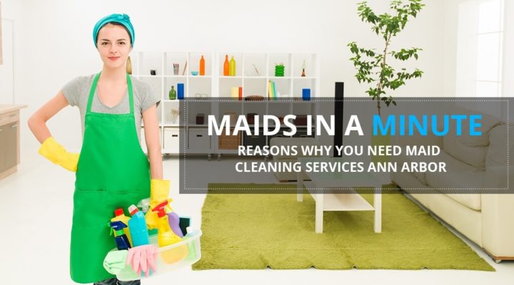 maids in a minute reasons why you need maid cleaning services ann arbor