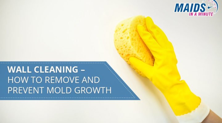 Wall-Cleaning-–-How-to-Remove-and-Prevent-Mold-Growth