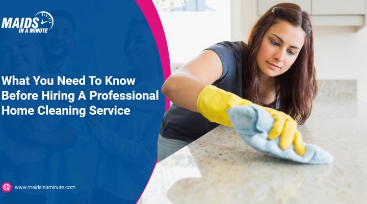 Professional Home Cleaning Service