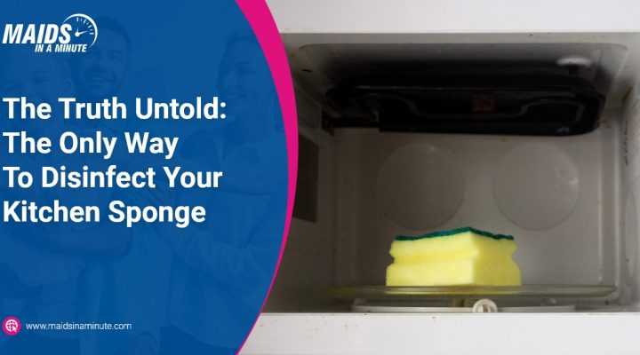 Maids in a minute -The Truth Untold The Only Way To Disinfect Your Kitchen Sponge