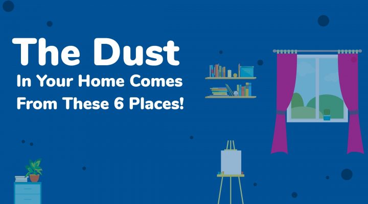 The dust in your home