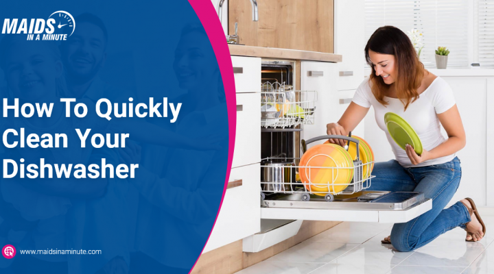 how to quickly clean your dishwasher
