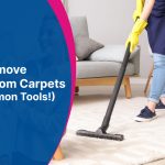 How To Remove Dog Hair From Carpets (Using Common Tools!)